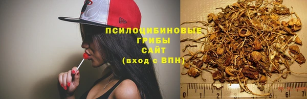 прущая мука Баксан